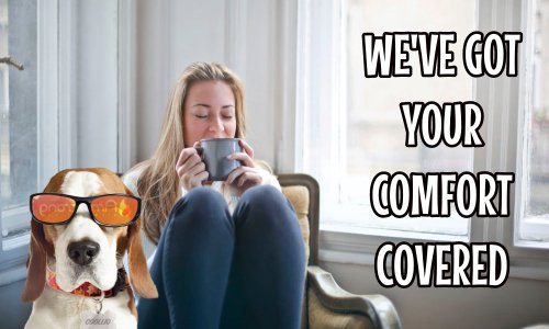 mold spores in florida